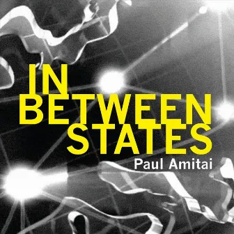 In Between States by Paul Amitai