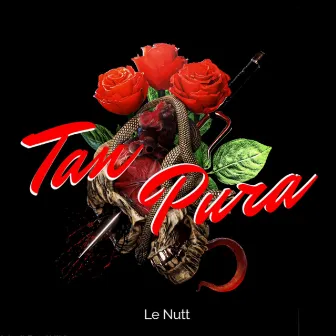 Tan Pura by Le Nutt