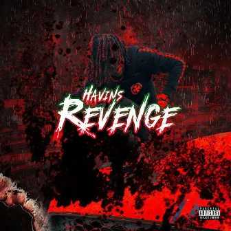 Havins Revenge by Ty Havin'