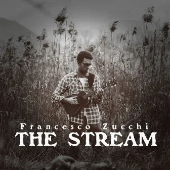 The Stream (Remix) by Francesco Zucchi