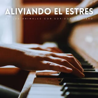 Aliviando El Estres De Los Animales Con Sonidos De Piano by Música clásica para piano