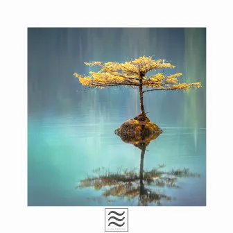 Peaceful Calming Music by 