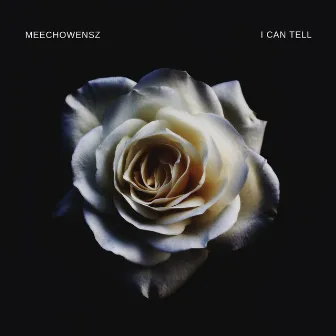 I Can Tell by Meechowensz