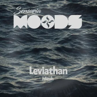 Leviathan by Mizuh