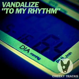 To My Rhythm by Vandalize