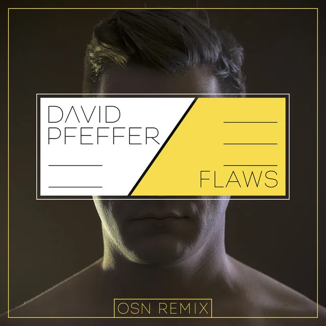 Flaws - Remix