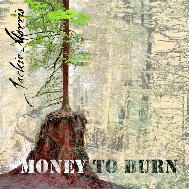 Money to Burn