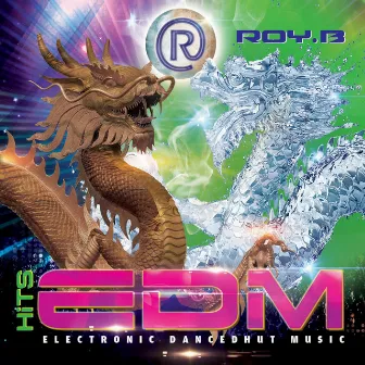 HiTS EDM (Electronic Dancedhut Music) by Roy B'