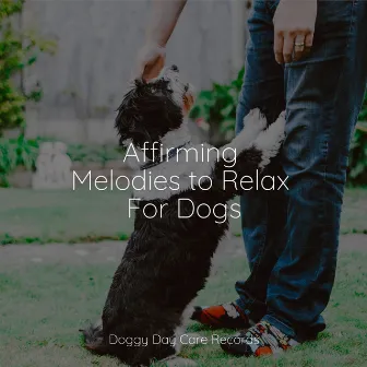 Affirming Melodies to Relax For Dogs by Relaxmydog