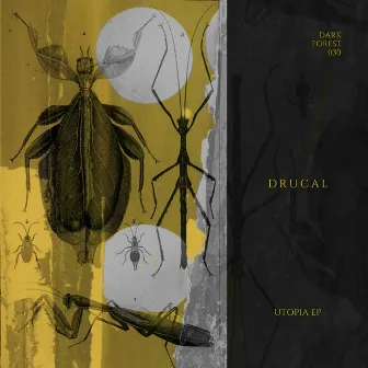 Utopia by Drucal