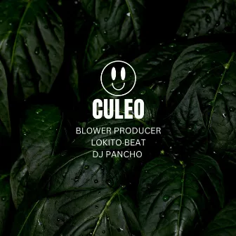 Culeo by Blower Producer