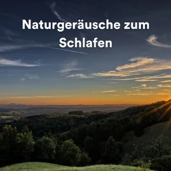 Naturgeräusche zum Schlafen by Heilende Geräusche Der Natur Academie