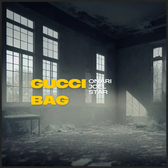 Gucci Bag