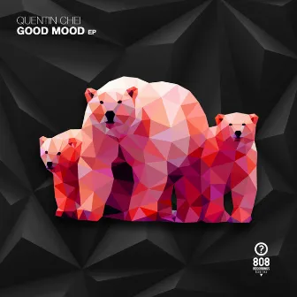 Good Mood EP by Unknown Artist