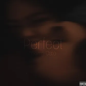 Perfect by Yxvng Cato