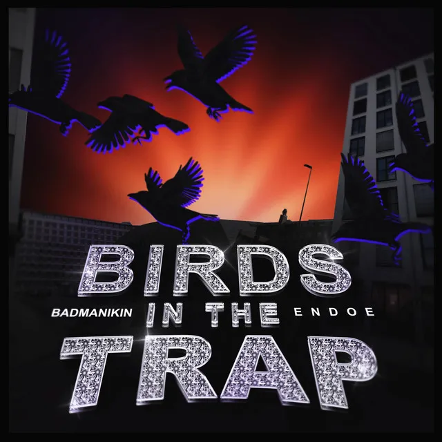 Birds in the Trap