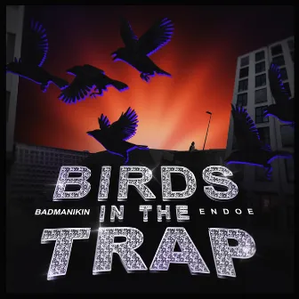 Birds in the Trap by Bad manikin