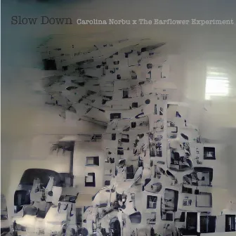 Slow Down by The Earflower Experiment