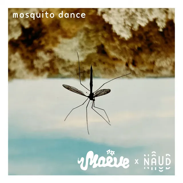 Mosquito Dance