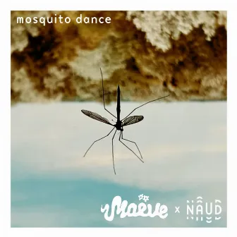 Mosquito Dance by EDGAR MAUER