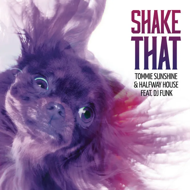 Shake That (feat. DJ Funk) [Radio Edit]