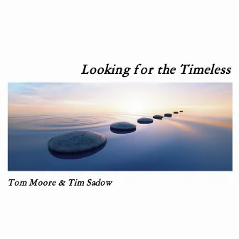 Looking for the Timeless by Tim Sadow