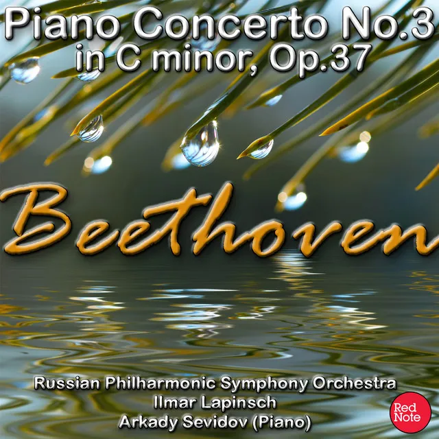 Piano Concerto No.3 in C Minor, Op.37: I. Allegro con brio