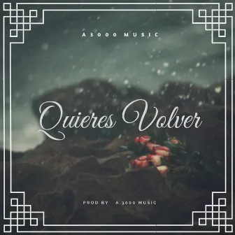 Quieres Volver by Miguel González