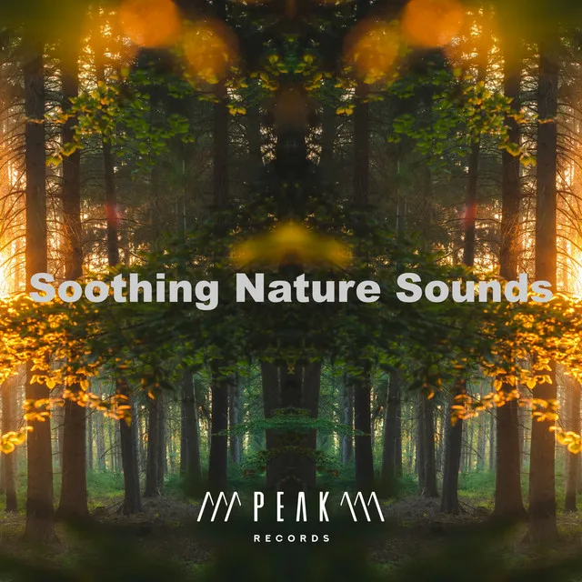 Soothing Nature Sounds