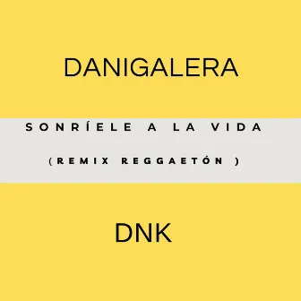 Sonríele a la Vida (Remix) by DnK