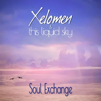 Soul Exchange by Xelomen