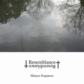 Resemblance Plus by Shinya Sugimoto