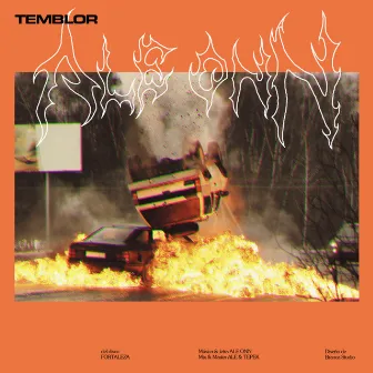 Temblor by Unknown Artist