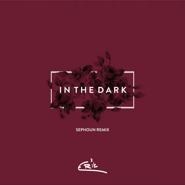 In the Dark (Sephoun Remix)