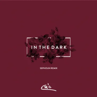 In the Dark (Sephoun Remix) by E R I K