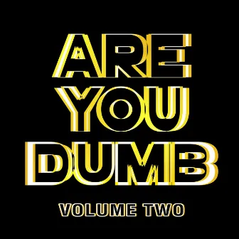 Are You Dumb? Vol. 2 by Jammer