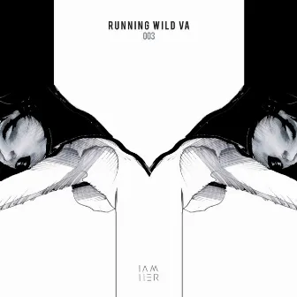 Running Wild VA 003 (Part 3) by Evade (MT)