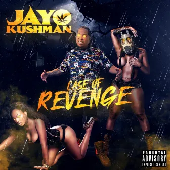 Case of Revenge by Jayo Kushman