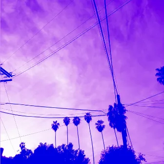 Palm Trees & Power Lines by Pwest