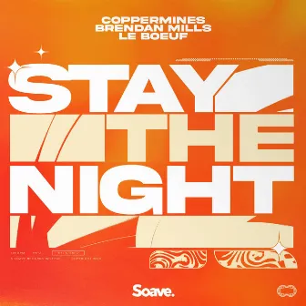 Stay The Night by Le Boeuf