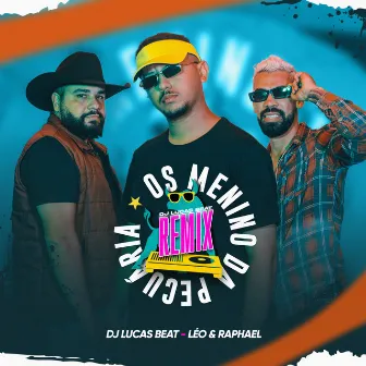 Os Menino da Pecuária (Remix) by DJ Lucas Beat