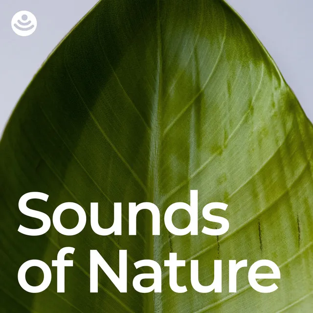 Sounds of Nature