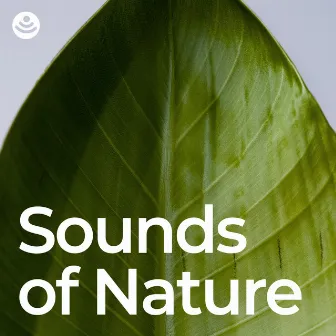 Sounds of Nature by Naturgeräusche für Entspannung und Erholung