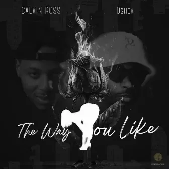 The Way You Like by Calvin Ross