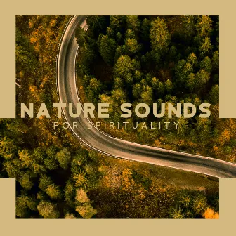 Nature Sounds for Spirituality: Deep Meditation Music, Tranquil Frequencies, Natural Hypnosis by Natural Sounds Music Academy