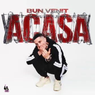 Bun Venit Acasa by Mgk666