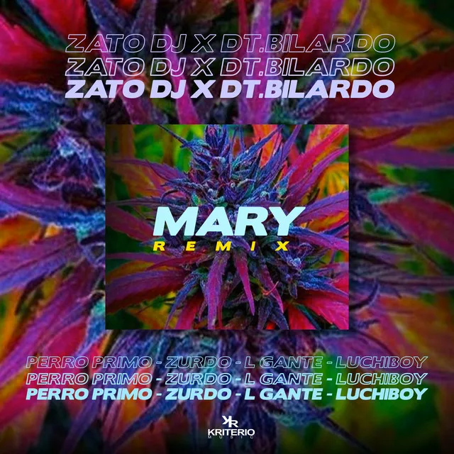 Mary Remix