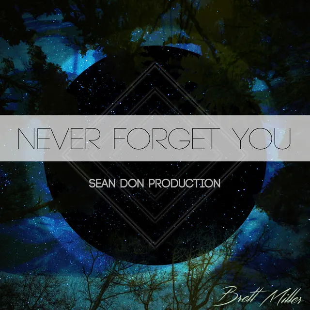 Never Forget You