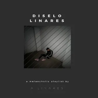 DISELOLINARES by A.Linares