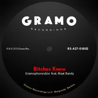 Bitches Know by Gramophonedzie